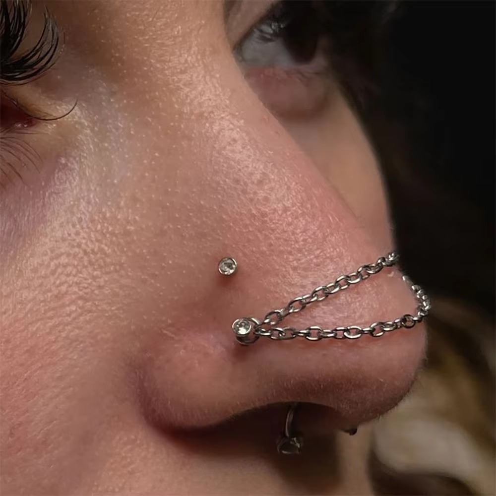 Titanium Nose Chain Double Cha - Body Jewelry Ear review and price