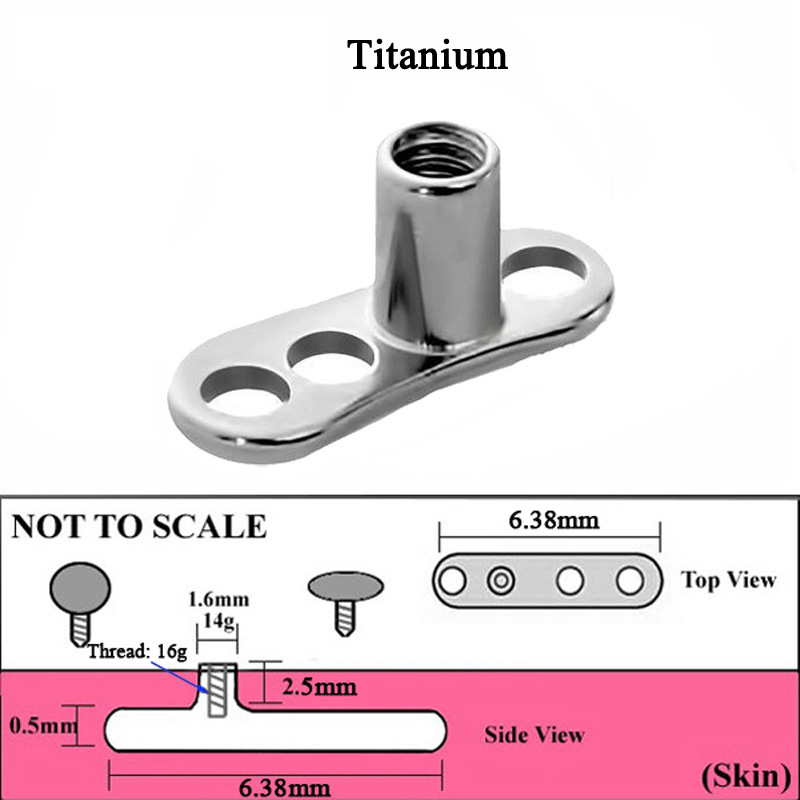 1Peice G23 Titanium Dermal Anc - Dermal Anchor Top review and price